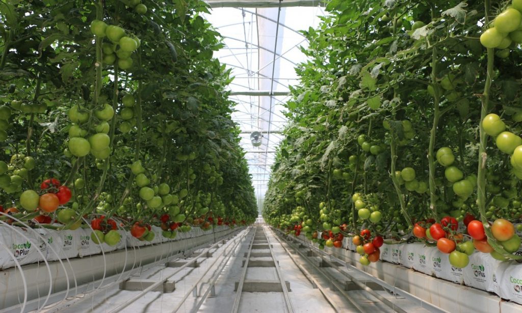 Geothermal to help restore agricultural sector in Nakusp, BC, Canada
