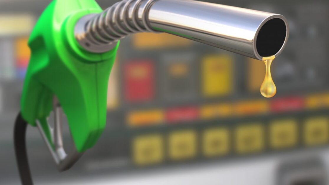 Biodiesel Group Urges Careful Review of Proposed “Murang Langis” Bill